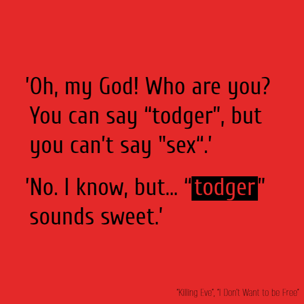 ’Oh, my God! Who are you? You can say “**todger**” but you can’t say “sex“.’ ’No. I know, but... “**todger**” sounds sweet.’