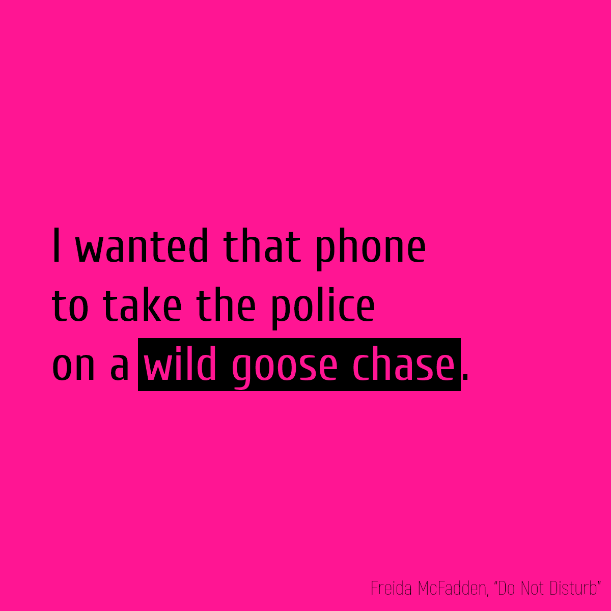 I wanted that phone to take the police on a **wild goose chase**.